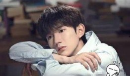 王源肖战爆料最新消息,娱乐圈风云再起，真相即将揭晓